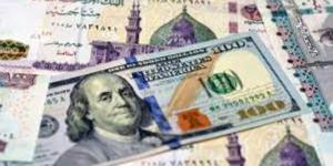 استقرار سعر الدولار اليوم مقابل الجنيه في البنوك المصرية - موقع الآن نيوز