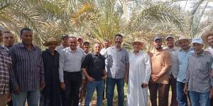 دورة تدريبية حول الزراعة العضوية والحد من الكيماويات بالوادي الجديد ـ موقع الآن نيوز
