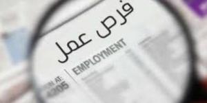 وظائف خالية في بنك القاهرة 2025 ـ موقع الآن نيوز