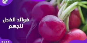 هل تعرف ماذا يفعل الفجل الأحمر بجسمك؟ ـ موقع الآن نيوز