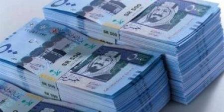 سعر الريال السعودى اليوم السبت 28-12-2024.. بالبنك المركزي بـ13.52 جنيه للشراء - الآن نيوز