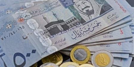 سعر الريال السعودى اليوم الثلاثاء 14 يناير 2025 فى مصر مقابل الجنيه - الآن نيوز