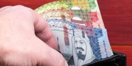 سعر الريال السعودى اليوم الثلاثاء 21-1-2025 - الآن نيوز