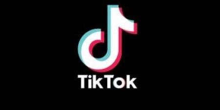 Perplexity AI تقترح استحواذ الولايات المتحدة على حصة فى اندماج TikTok - الآن نيوز