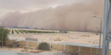 إبراهيم عيسى: مصر نجت من عاصفة ترابية بفضل الاستعداد والتخطيط ـ موقع الآن نيوز