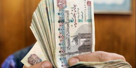 برلماني: رفع الحد الأدنى للأجور خطوة حاسمة نحو العدالة الاجتماعية ـ موقع الآن نيوز