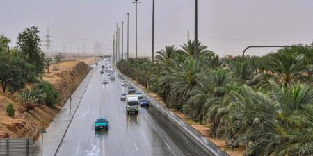 طقس الخميس.. أمطار متوسطة على أجزاء من منطقة الرياض - موقع الآن نيوز