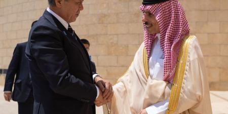 وزير الخارجية يبحث تعزيز العلاقات مع نظيره الياباني - موقع الآن نيوز