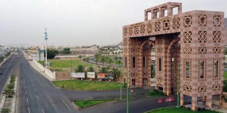 بدء التقديم على برنامج المنح الدراسية للطلبة الدوليين بجامعة طيبة - موقع الآن نيوز