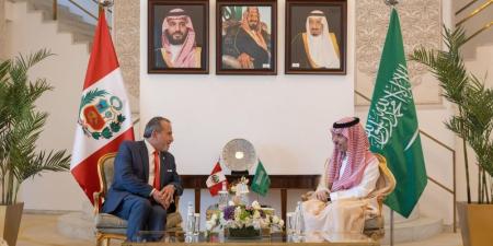 وزير الخارجية يناقش المستجدات الدولية مع نظيره البيروفي - موقع الآن نيوز