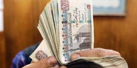 رابط الاستعلام عن منحة العمالة غير المنتظمة بالرقم القومي.. 1500 جنيه هدية - موقع الآن نيوز