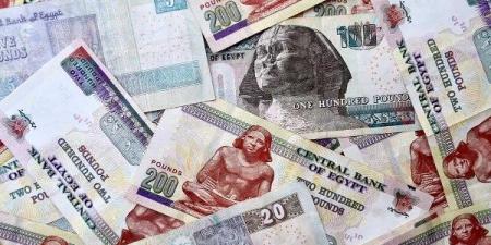 أعلى زيادة في 5 سنوات | 678.1 مليار جنيه لأجور الموظفين .. خبير اقتصادي يكشف الأثر والتداعيات ـ موقع الآن نيوز