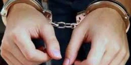 المشدد 10 سنوات لعاطلين بتهمة التنقيب عن الآثار في المطرية ـ موقع الآن نيوز