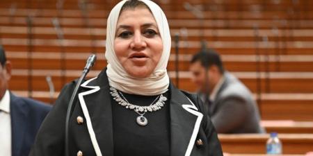 النائبة حنان عمار: العمال سلاح التنمية وثورة مصر الحقيقية ـ موقع الآن نيوز