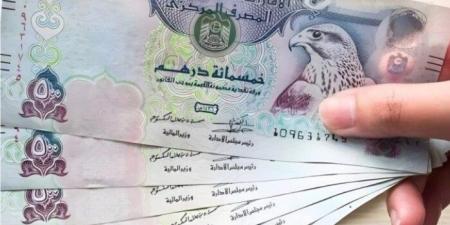 سعر الدرهم الإماراتي مقابل الجنيه المصري اليوم الخميس 1 مايو 2025 - موقع الآن نيوز