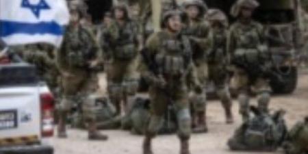 جيش الاحتلال يزعم استهداف عنصر بقوة الرضوان التابعة لحزب الله ـ موقع الآن نيوز