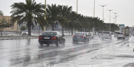 طقس المملكة.. بيشة تسجل أعلى كمية هطول أمطار - موقع الآن نيوز