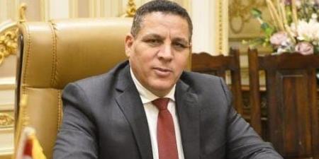 برلماني: توجيهات الرئيس في عيد العمال ترجمة عملية لرعاية الكادحين ـ موقع الآن نيوز