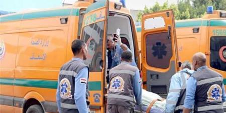 مصرع شخصين وإصابة آخرين فى تصادم سيارتين بالشرقية ـ موقع الآن نيوز