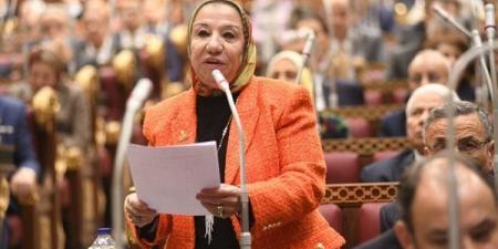 برلمانية: "قانون العمل الجديد" خطوة تاريخية نحو حماية الحقوق وتعزيز بيئة العمل ـ موقع الآن نيوز