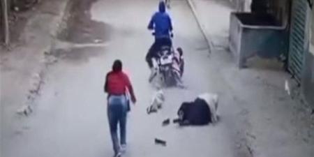 تفاصيل صادمة.. قرار عاجل من النيابة بحبس شاب تعدى على شقيقته وصغيرتها ـ موقع الآن نيوز