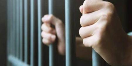 تجديد حبس المتهم بالتعدي على طفلة في شبين القناطر 15 يومًا - موقع الآن نيوز