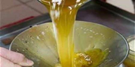 الزيت الصافي ذو الرائحة والطعم الطبيعيين هو الأكثر أمانًا ـ موقع الآن نيوز
