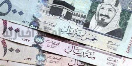 استقرار سعر الريال السعودي اليوم الأحد 4 مايو 2025 - موقع الآن نيوز