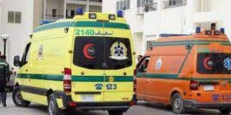 بسبب خلافات النسب.. عامل ينهي حياة شاب ويصيب شقيقه في المنوفية ـ موقع الآن نيوز
