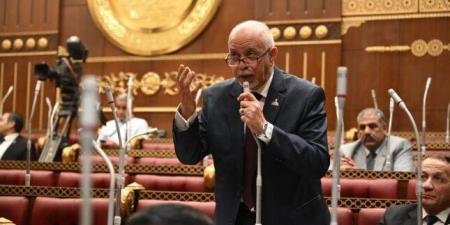 النائب حازم الجندي يطالب برعاية وتبني النشء المتميزين في الأمن السيبراني - موقع الآن نيوز