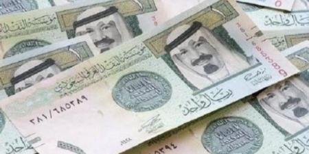 أسعار صرف الريال السعودي مقابل الجنيه اليوم الإثنين ـ موقع الآن نيوز