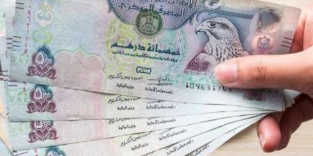 أسعار صرف الدرهم الإماراتي مقابل الجنيه في البنوك ـ موقع الآن نيوز