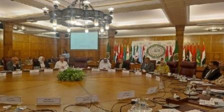 جامعة المنصورة تشارك في إطلاق مبادرة "بداية جديدة لجودة التعليم" بجامعة الدول العربية - موقع الآن نيوز
