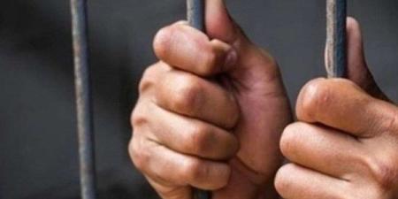 الحبس مع الشغل عقوبة جريمة قتل الحيوانات عمدا طبقا للقانون ـ موقع الآن نيوز