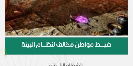 احذر الغرامة.. ضبط مخالف أشعل النار بمحمية الأمير محمد بن سلمان - موقع الآن نيوز