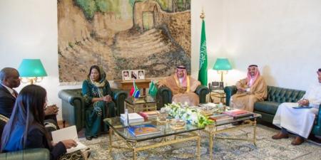 الخريجي يستعرض العلاقات وأوجه التعاون مع نظيرته الجنوب أفريقية - موقع الآن نيوز
