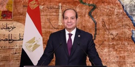 الرئيس السيسي: مصر تمتلك العديد من  الفرص والمجالات للتعاون مع اليونان ـ موقع الآن نيوز