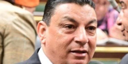 برلماني: اجتماع الرئيس السيسي مع الحكومة والبنك المركزي يعكس إدراك القيادة لتحديات الاقتصاد المصري ـ موقع الآن نيوز