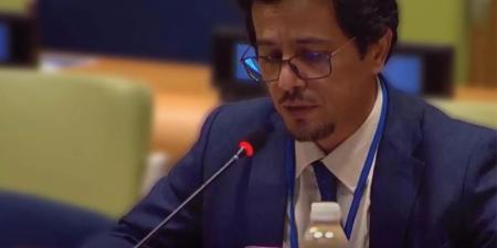 منتدى الأمم المتحدة.. المملكة تستعرض جهودها لحماية الغابات وتنميتها - موقع الآن نيوز