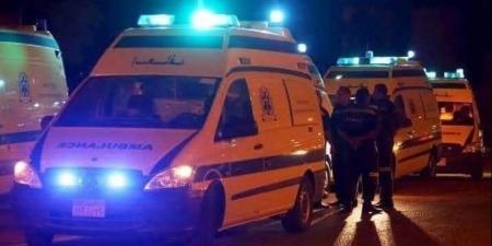 بالأسماء .. العناية الإلهية تنقذ أسرة من الموت في انقلاب سيارة بالشرقية ـ موقع الآن نيوز