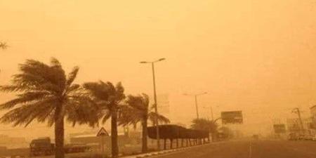 عاصفة ترابية تضرب القاهرة والجيزة.. الأرصاد تحذر من تقلبات الجو وتكشف السبب - موقع الآن نيوز