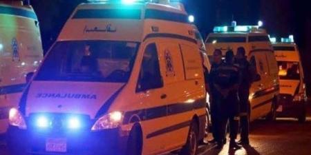 مصرع ربة منزل سقطت عليها نخلة بشبين القناطر في القليوبية ـ موقع الآن نيوز