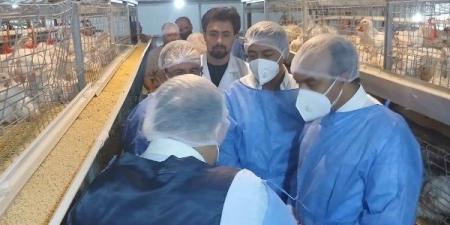 "الزراعة" تطلق حملات بيطرية وقائية لدعم المربين وتعزيز منظومة الإنتاج الداجني في 4 محافظات ـ موقع الآن نيوز