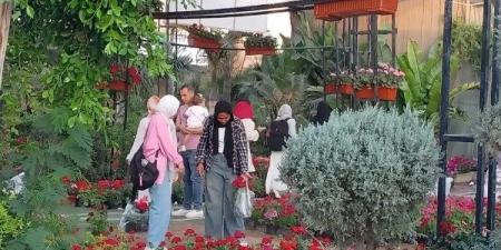 استجابة للإقبال الجماهيري.. عروض متميزة على الزهور والنباتات النادرة ـ موقع الآن نيوز