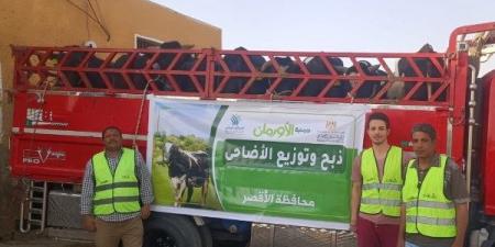 توزيع 50 ألف كيلو لحوم أضاحي و75 عجل للأسر الأولى بالرعاية في الأقصر ـ موقع الآن نيوز