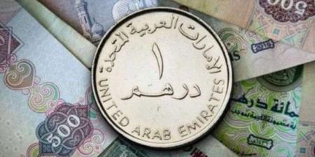 أسعار الدرهم الإماراتي في مصر اليوم.. الأحد 18 مايو 2025 - موقع الآن نيوز