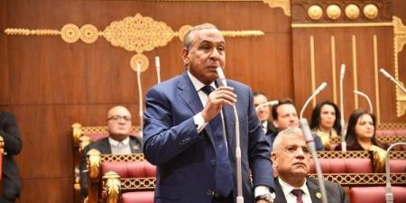 نائب: الرئيس السيسي ينادي بجذب المستثمرين الدوليين ولابد من تحفيزهم ـ موقع الآن نيوز