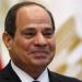 الرئيس السيسي يبحث مع وزير الزراعة مستجدات تطوير محطة الزهراء للخيول العربية - موقع الآن نيوز