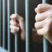 تجديد حبس المتهم بالتعدي على طفلة في شبين القناطر 15 يومًا - موقع الآن نيوز