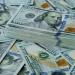 سعر الدولار مقابل الجنيه المصري اليوم الأحد 4 مايو 2025 - موقع الآن نيوز